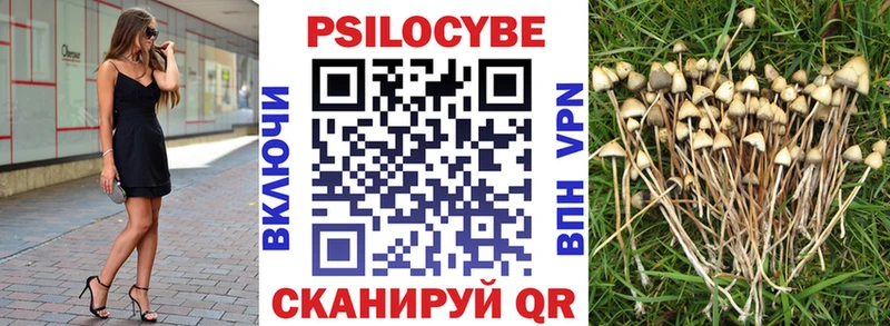 Псилоцибиновые грибы MAGIC MUSHROOMS  MEGA маркетплейс  Бирюч 